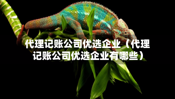 代理記賬公司優(yōu)選企業(yè)（代理記賬公司優(yōu)選企業(yè)有哪些）