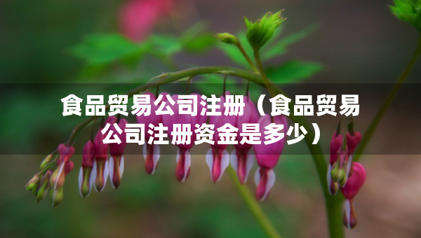 食品貿(mào)易公司注冊（食品貿(mào)易公司注冊資金是多少）