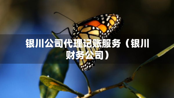 銀川公司代理記賬服務(wù)（銀川財(cái)務(wù)公司）