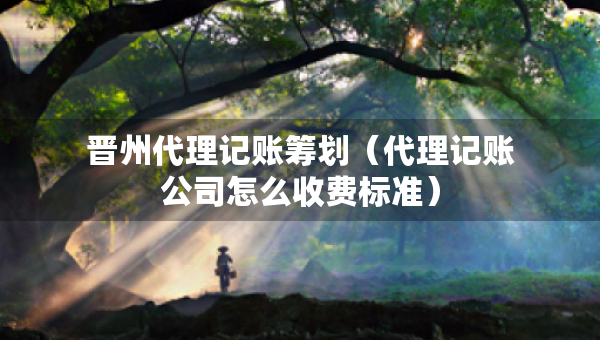 晉州代理記賬籌劃（代理記賬公司怎么收費標準）
