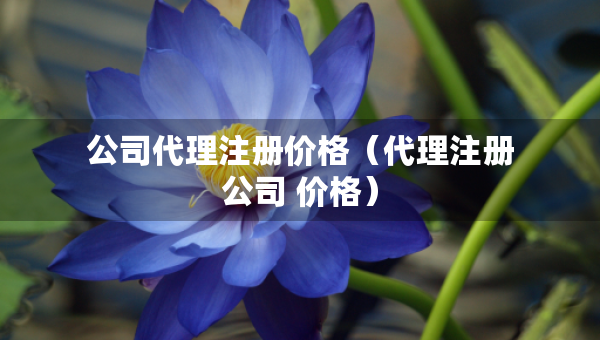 公司代理注冊(cè)價(jià)格（代理注冊(cè)公司 價(jià)格）