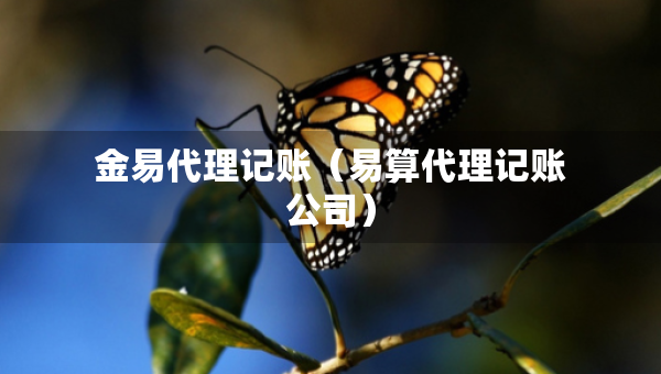 金易代理記賬（易算代理記賬公司）