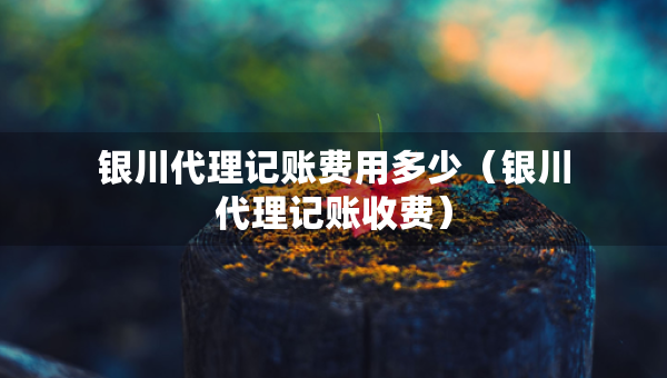 銀川代理記賬費(fèi)用多少（銀川代理記賬收費(fèi)）