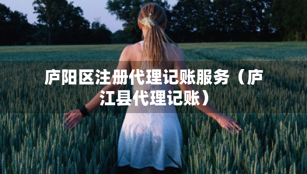 廬陽(yáng)區(qū)注冊(cè)代理記賬服務(wù)（廬江縣代理記賬）
