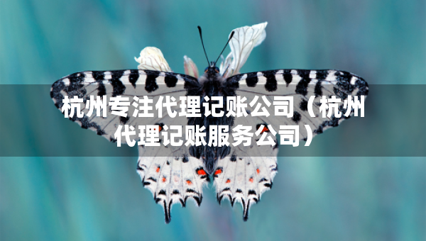 杭州專注代理記賬公司（杭州代理記賬服務(wù)公司）