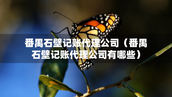 番禺石壁記賬代理公司（番禺石壁記賬代理公司有哪些）
