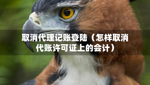 取消代理記賬登陸（怎樣取消代賬許可證上的會(huì)計(jì)）