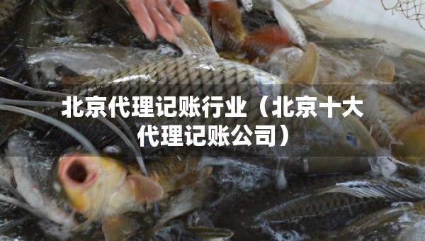 北京代理記賬行業(yè)（北京十大代理記賬公司）