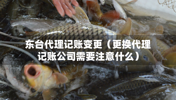 東臺代理記賬變更（更換代理記賬公司需要注意什么）