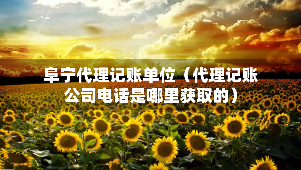 阜寧代理記賬單位（代理記賬公司電話是哪里獲取的）