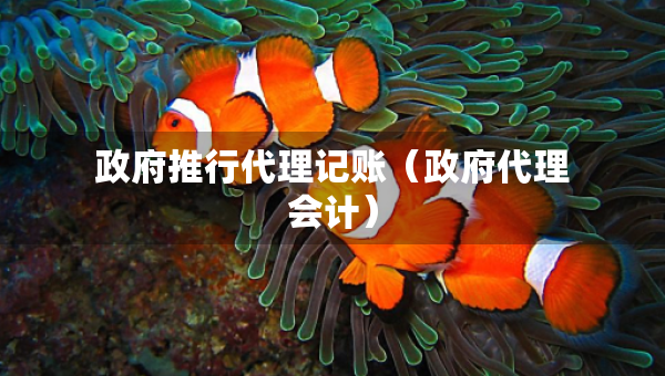 政府推行代理記賬（政府代理會計(jì)）