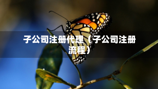 子公司注冊代理（子公司注冊流程）