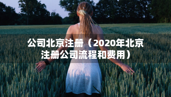 公司北京注冊（2020年北京注冊公司流程和費用）