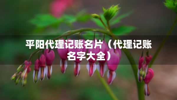 平陽代理記賬名片（代理記賬名字大全）
