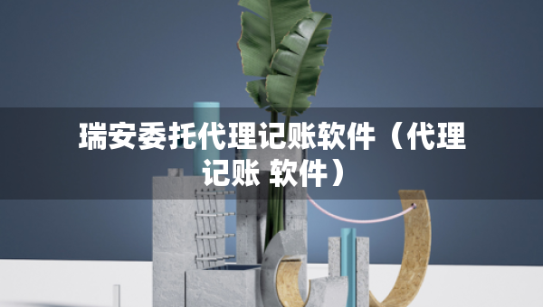 瑞安委托代理記賬軟件（代理記賬 軟件）