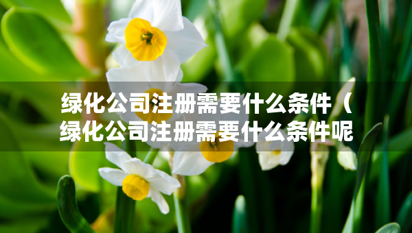 綠化公司注冊需要什么條件（綠化公司注冊需要什么條件呢）