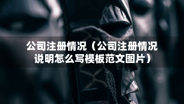 公司注冊(cè)情況（公司注冊(cè)情況說(shuō)明怎么寫(xiě)模板范文圖片）