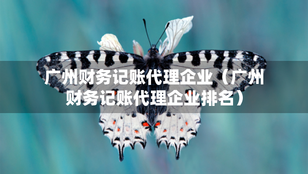 廣州財務記賬代理企業(yè)（廣州財務記賬代理企業(yè)排名）