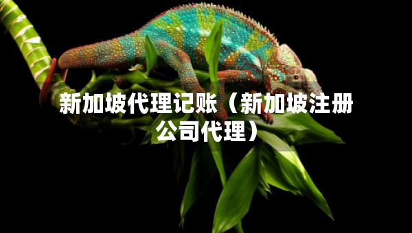 新加坡代理記賬（新加坡注冊(cè)公司代理）