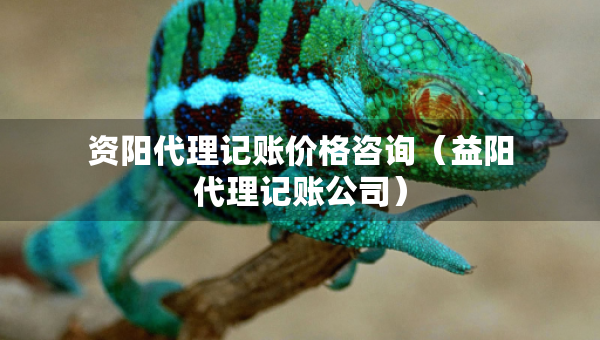 資陽(yáng)代理記賬價(jià)格咨詢(xún)（益陽(yáng)代理記賬公司）