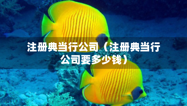 注冊(cè)典當(dāng)行公司（注冊(cè)典當(dāng)行公司要多少錢）