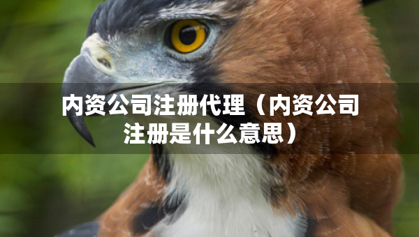 內(nèi)資公司注冊(cè)代理（內(nèi)資公司注冊(cè)是什么意思）