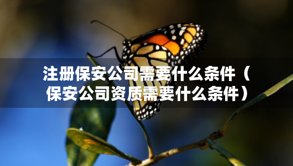 注冊(cè)保安公司需要什么條件（保安公司資質(zhì)需要什么條件）