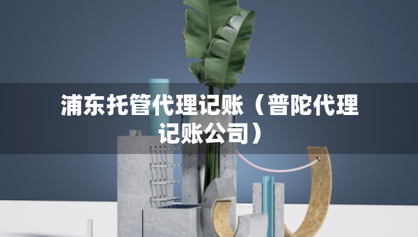 浦東托管代理記賬（普陀代理記賬公司）