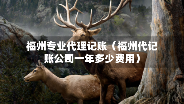 福州專業(yè)代理記賬（福州代記賬公司一年多少費(fèi)用）