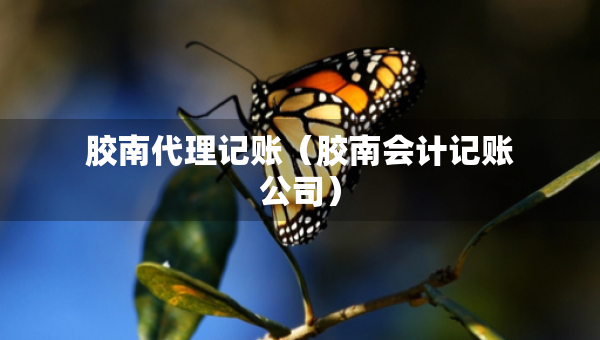 膠南代理記賬（膠南會(huì)計(jì)記賬公司）
