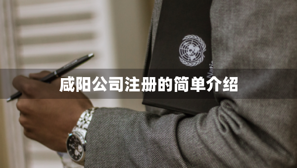 咸陽公司注冊的簡單介紹