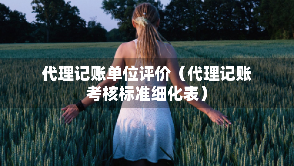 代理記賬單位評價（代理記賬考核標(biāo)準(zhǔn)細(xì)化表）
