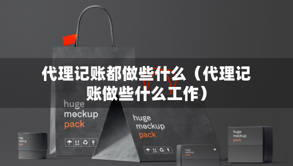 代理記賬都做些什么（代理記賬做些什么工作）
