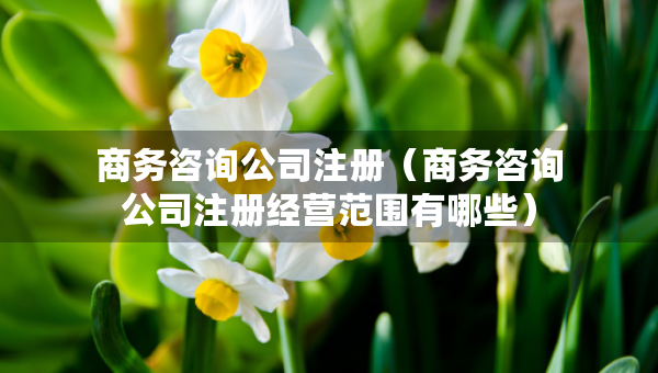商務(wù)咨詢公司注冊(cè)（商務(wù)咨詢公司注冊(cè)經(jīng)營(yíng)范圍有哪些）