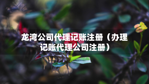 龍灣公司代理記賬注冊（辦理記賬代理公司注冊）