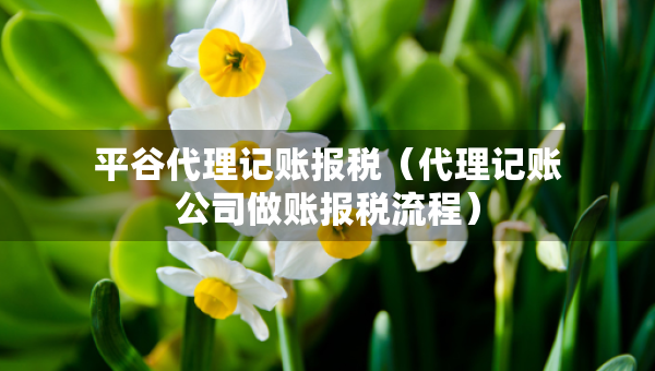 平谷代理記賬報稅（代理記賬公司做賬報稅流程）