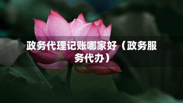 政務(wù)代理記賬哪家好（政務(wù)服務(wù)代辦）