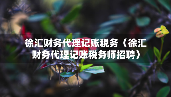 徐匯財(cái)務(wù)代理記賬稅務(wù)（徐匯財(cái)務(wù)代理記賬稅務(wù)師招聘）