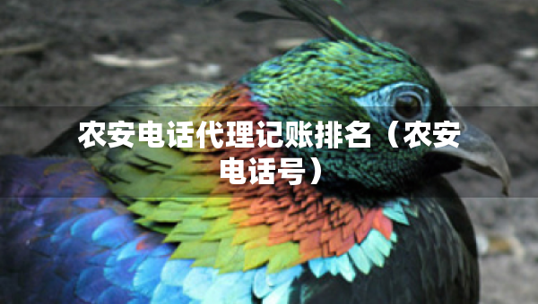 農(nóng)安電話代理記賬排名（農(nóng)安電話號）
