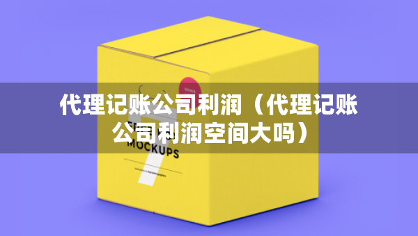 代理記賬公司利潤(rùn)（代理記賬公司利潤(rùn)空間大嗎）