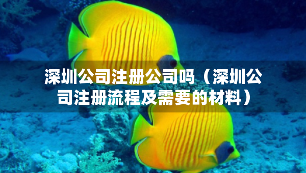 深圳公司注冊(cè)公司嗎（深圳公司注冊(cè)流程及需要的材料）