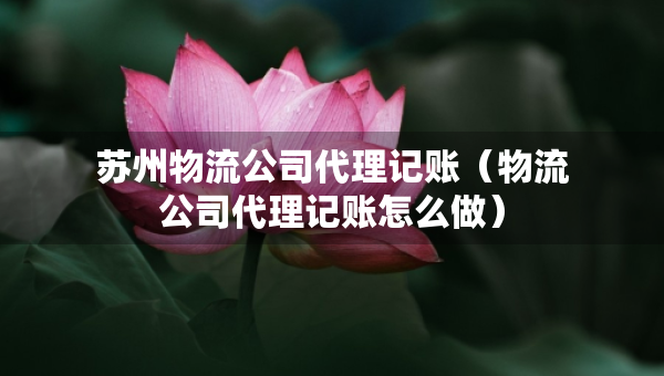蘇州物流公司代理記賬（物流公司代理記賬怎么做）