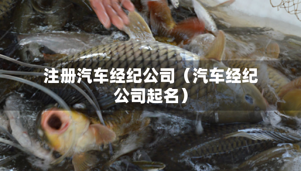 注冊汽車經(jīng)紀公司（汽車經(jīng)紀公司起名）
