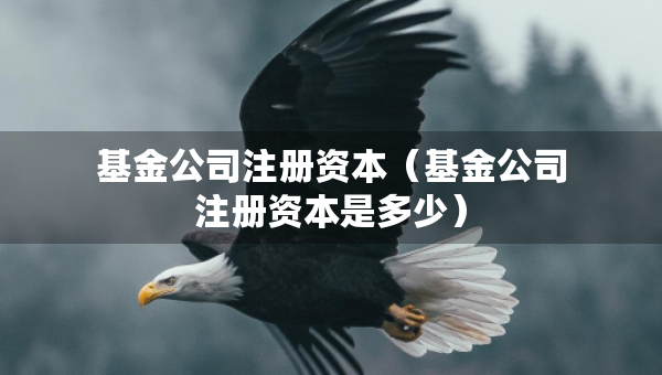 基金公司注冊資本（基金公司注冊資本是多少）