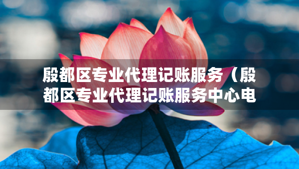 殷都區(qū)專業(yè)代理記賬服務(wù)（殷都區(qū)專業(yè)代理記賬服務(wù)中心電話）