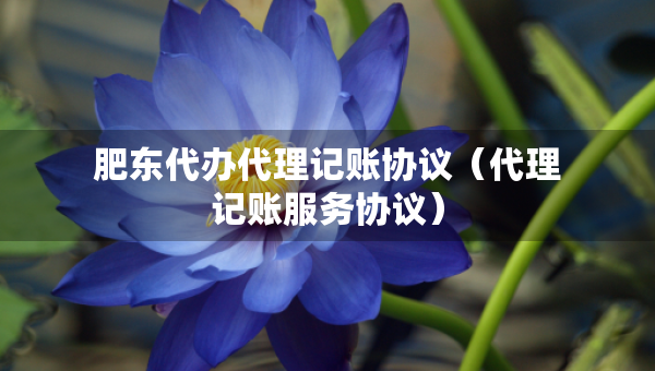 肥東代辦代理記賬協(xié)議（代理記賬服務(wù)協(xié)議）
