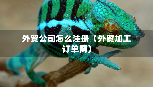 外貿(mào)公司怎么注冊(cè)（外貿(mào)加工訂單網(wǎng)）
