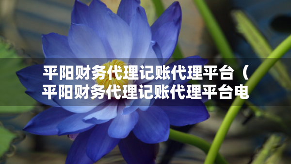 平陽財務代理記賬代理平臺（平陽財務代理記賬代理平臺電話）