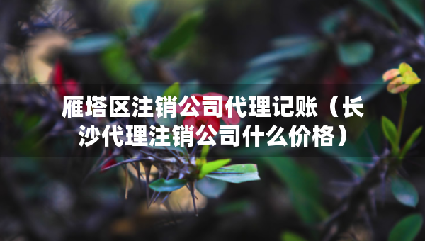 雁塔區(qū)注銷公司代理記賬（長沙代理注銷公司什么價格）