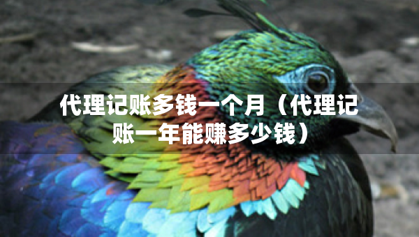代理記賬多錢一個月（代理記賬一年能賺多少錢）